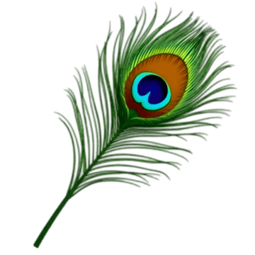 pngtree 3d realistic peacock feather png image 15681047